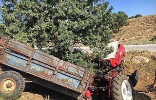 Kurbanlık satmaya giderken kaza yaptı