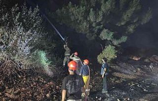 Kuru otların tutuşmasıyla başlayan yangın ormana...