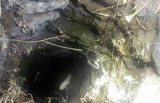 Kuyuya düşen oğlak kurtarıldı