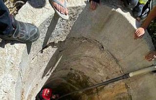 Kuyuya düşen porsuk kurtarıldı