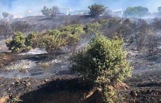Maltepe’de otluk alanda yangın çıktı. İtfaiye...