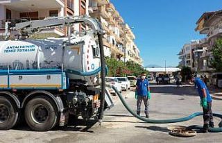 Manavgat’ta ilaçlama seferberliği