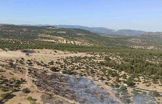 Manisa’daki orman yangını hızlı müdahaleyle...