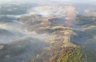 Manisa’daki orman yangını kontrol altına alındı