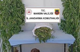 Mardin’de uyuşturucu ve tarihi eser kaçakçılığı...