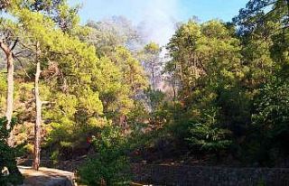 Marmaris’te orman yangını