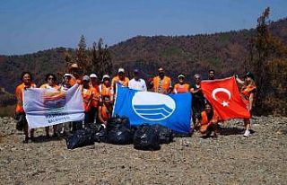 Marmaris’te yanan alanlarda temizlik yapıldı