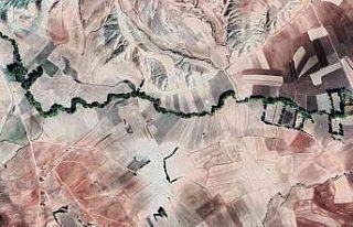 Menderes görünümlü orman dikkat çekiyor