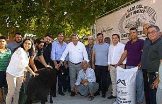 Mersin’de 13 üreticiye 325 küçükbaş hayvan...