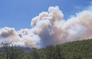 Mersin’de ormanlık alanlara girişler 31 Ağustos’a...