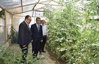 Meslek liselerinde tarım seferberliği Sarayköy’den...