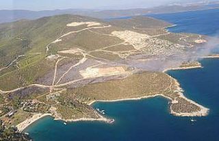 Milas yangını kontrol altına alındı