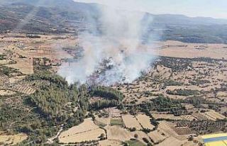 Milas’ta 4 hektarlık alan zarar gördü