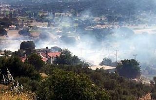 Milas’ta çıkan yangın panikletti