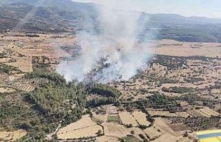 Milas’ta orman yangını