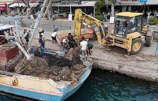 Muğla denizleri hayalet ağlardan kurtarılıyor