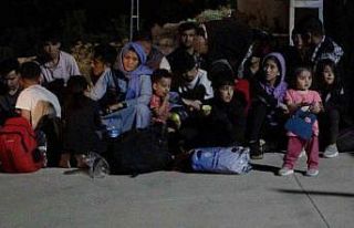 Muğla’da çok sayıda düzensiz göçmen yakalandı