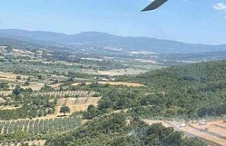 Mustafakemalpaşa’da orman yangını