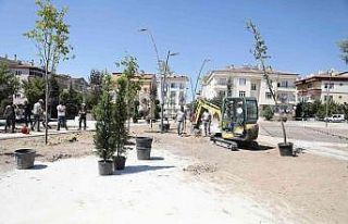 Nevşehir’de parklar ağaçlandırılıyor