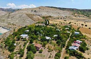 Ömrünü ağaçlara adadı, 38 yılda köyün çehresini...