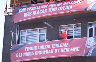 Ordu’da pankartların dili: “Fındık dalda tekleme,...