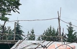 Ordu’da sobadan zehirlenen yaşlı çift hayatını...