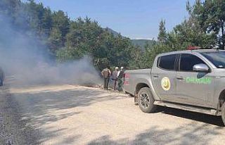 Ormancıların zamanında müdahalesi yangının büyümesini...