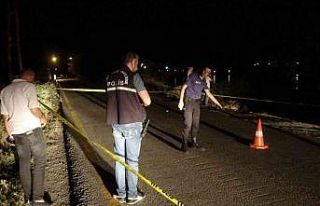 Otomobilden gölet kenarındaki gençlere ateş açıldı:...