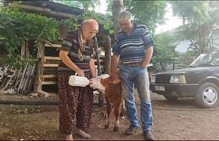 (ÖZEL) Egemen’inin adeta gözleri oldular