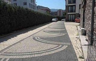 (Özel) Ezdiği köpeğe aldırış etmeden aracını...