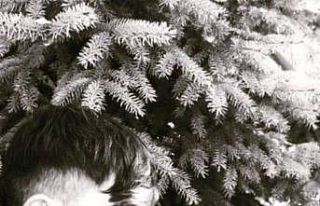 Park halindeki araca çarpan motosikletli hayatını...