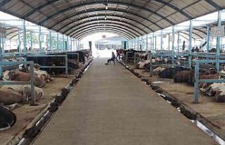 Pazarda kurbanlık var alıcı yok