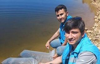 Pazarlar’daki göletlere 36 bin adet pullu sazan...