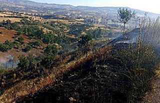 Piknikçiler yangına neden oldu