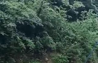 Rize’de dere taştı, yol ulaşıma kapandı