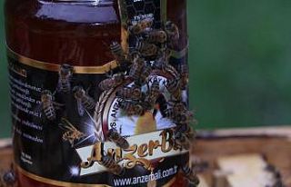 Rize’nin dünyaca ünlü Anzer balı 2 bin TL oldu