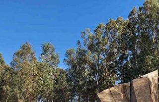 Rüzgar otelin gölgeliğini uçurdu, faciadan dönüldü