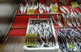 Rüzgarlı hava balık tezgahlarına yansıdı