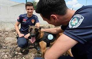 Sabotajcıların korkulu rüyası ‘Tarzan’ göreve...