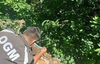 Sadece yangınlarla değil tüm zararlılarla mücadele...