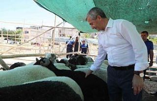 Şahinbey’de kurban satış ve kesim yerleri belirlendi