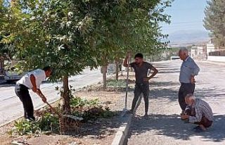 Samsat’ta yaz temizliği başladı