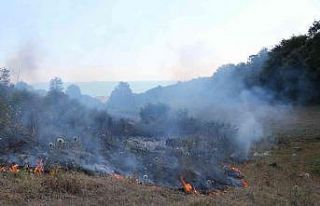 Samsun’da örtü yangını: 3 dönüm alan zarar...