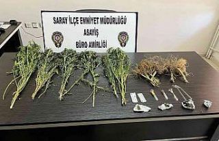 Saray polisinden uyuşturucu operasyonu