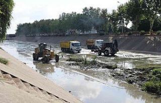 Sarıçam Deresi’nde bayram temizliği