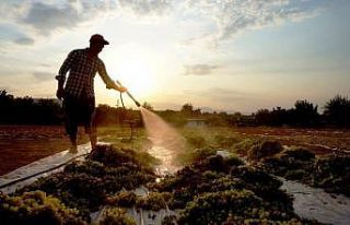 Sarıgöl’de tarım işçi ücretleri belirlendi