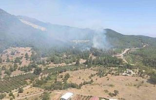 Seferihisar’da yangın