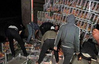 Şeftali yüklü kamyon devrildi:1 yaralı