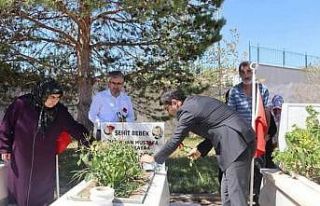 Şehit Bedirhan bebek ve annesi mezarı başında...