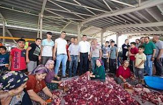 Şehitkamil’de 14 farklı kurban kesim yeri hizmet...